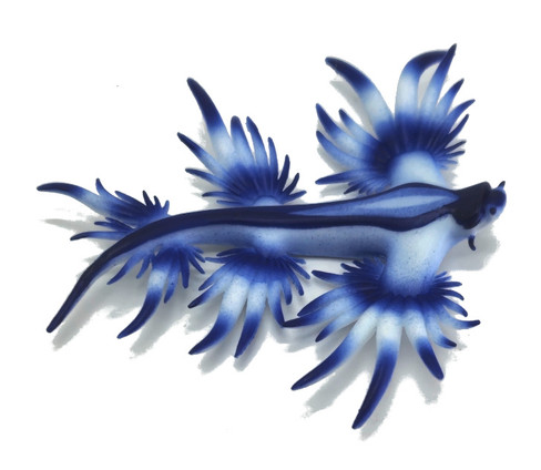 Bullyland Blue Sea Slug Glaucus Atlanticus #67511 Manufacturer Picture side View