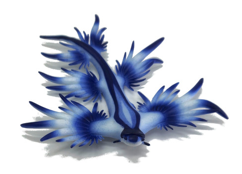 Bullyland Blue Sea Slug Glaucus Atlanticus #67511 Manufacturer Picture front View