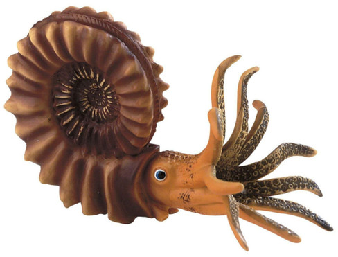 Bullyland Ammonite #58400 Manufacturer Picture right Side View