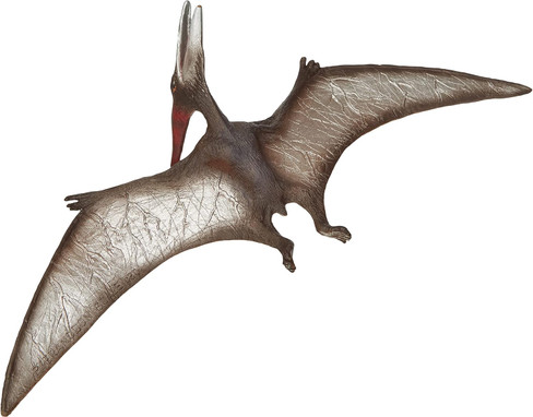 Bullyland Museum Line Pteranodon #61364 Manufacturer Picture bottom View