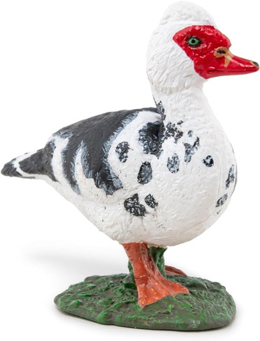 Papo Muscovy Duck - Front Angle View