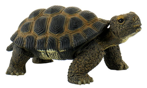Bullyland Tortoise #63553 Manufacturer Picture side View