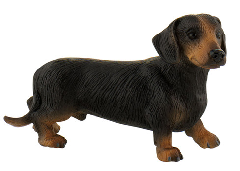 Bullyland Apollo the Shorthair Dachshund #65441 Manufacturer Picture right side View