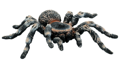 Bullyland White-Knee Tarantula #68457 Manufacturer Picture front View