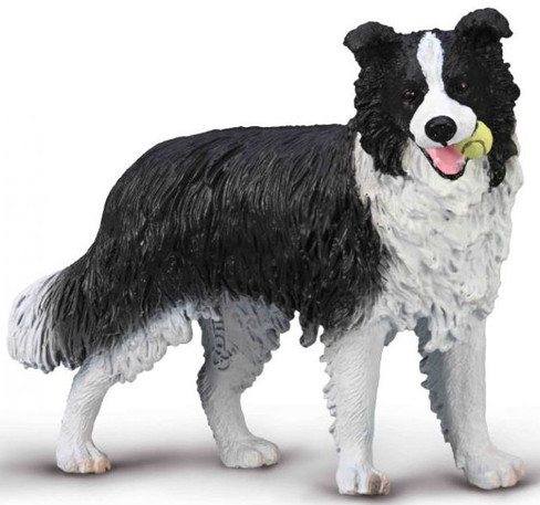 CollectA Border Collie #80012 Manufacturer Picture