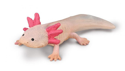 CollectA Axolotl #80015 Manufacturer Picture