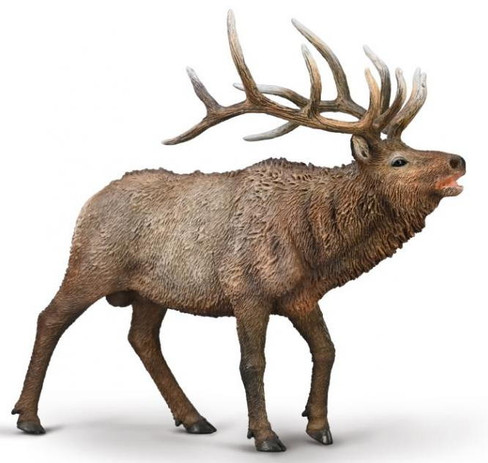 Collecta Wapiti Elk #80021 Manufacturer Picture
