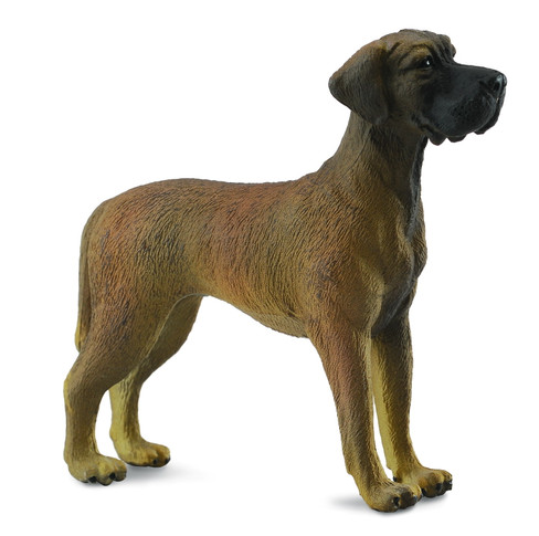 CollectA Great Dane #88062 Manufacturer Picture