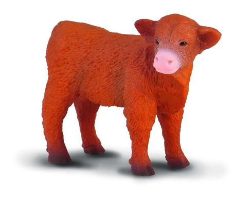 CollectA Highland Calf - Standing #88233 Manufacturer Picture