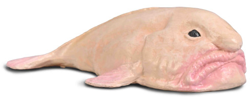 CollectA Blobfish #80037 - Manufacturer Hero Image