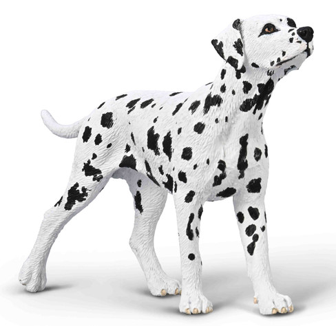 CollectA Dalmatian #80040 hero image