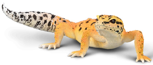 CollectA Leopard Gecko #80043 Manufacturer Hero Image