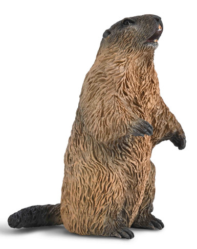 CollectA Marmot #80044 Manufacturer Hero Image