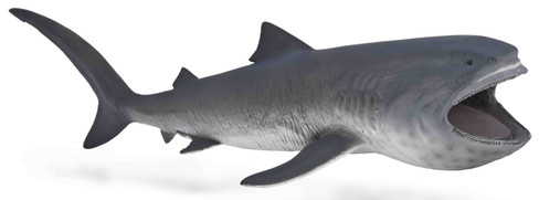 CollectA Megamouth Shark #80046 - Manufacturer Hero Image