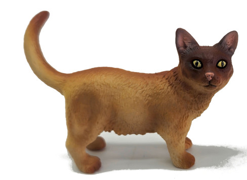 CollectA Burmese Cat Standing #88325 - Front side sleek