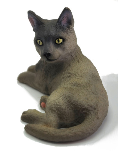 CollectA Burmese Cat Lying #88326 front view head on