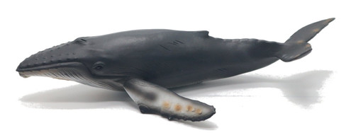 CollectA Humpback Whale - Manufacturer Picture