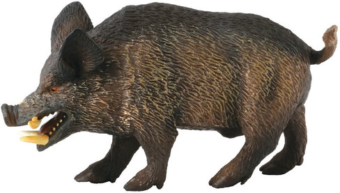 CollectA Wild Boar - Manufacturer Picture