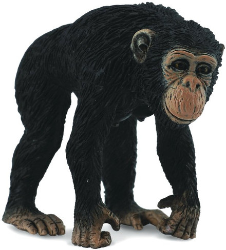 CollectA Chimpanzee - Female