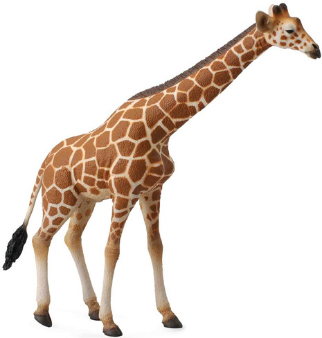 CollectA Reticulated Giraffe - Manufacturer Picture
