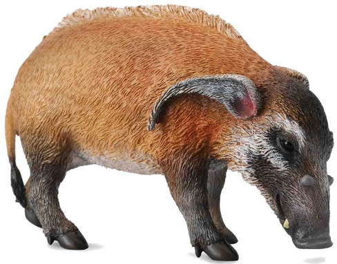 CollectA Red River Hog