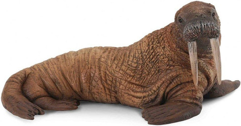 CollectA Walrus Bull Figure