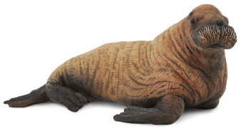 CollectA Walrus Calf Figure