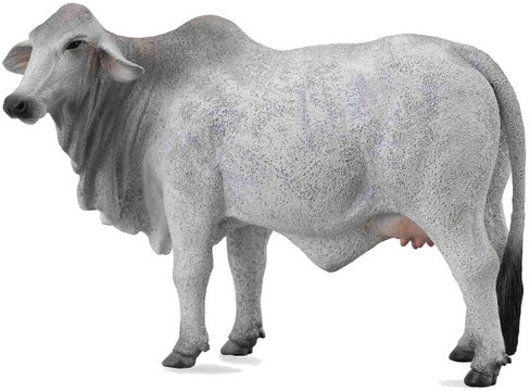 CollectA Brahman Cow