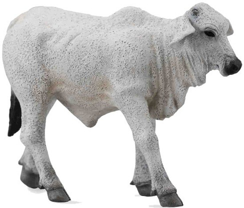 CollectA Brahman Calf Figure