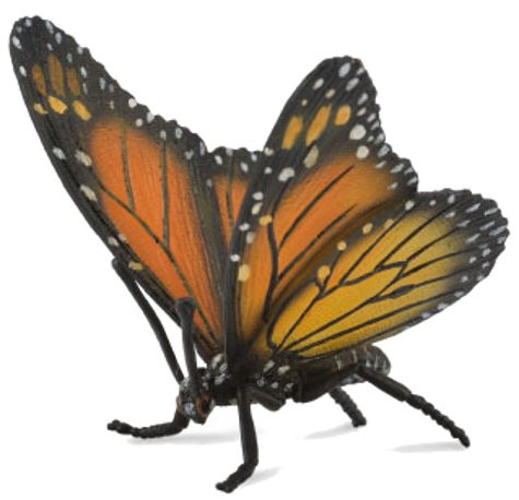 CollectA Monarch Butterfly - Manufacturer Picture