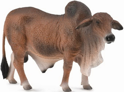 CollectA Red Brahman Bull - Manufacturer Picture