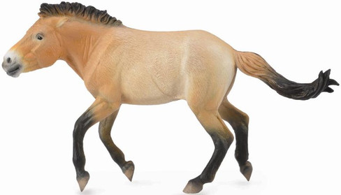 CollectA Przewalski Stallion