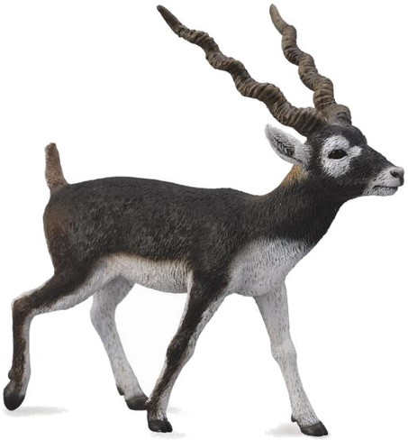 CollectA BlackBuck Antelope