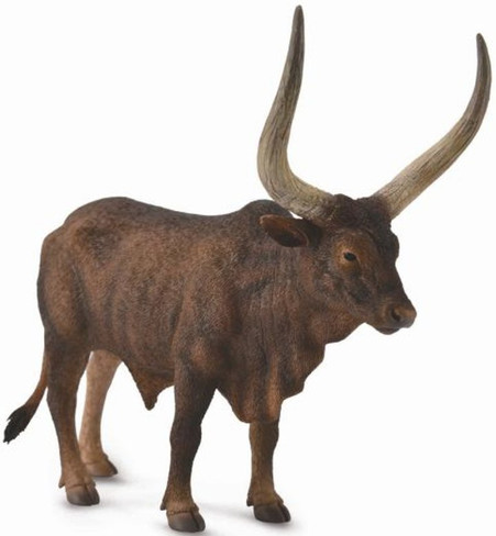 CollectA Ankole-Watusi Bull