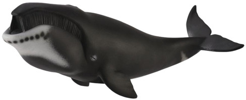 CollectA Bowhead Whale