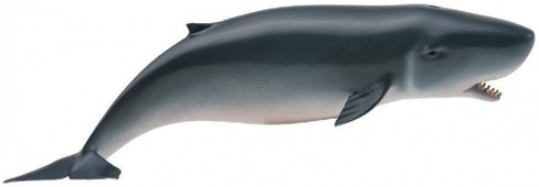 CollectA Pygmy Sperm Whale