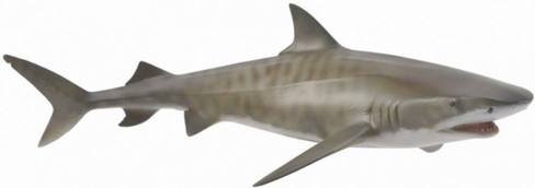 CollectA Tiger Shark Figure