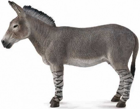CollectA African Wild Ass Donkey