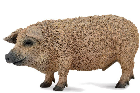 CollectA Hungarian Pig Figure