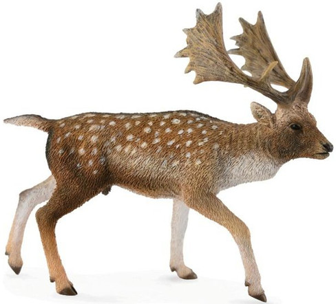 CollectA Fallow Deer Male Figure