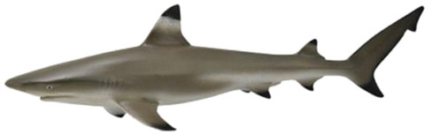 CollectA Blacktip Reef Shark Figure