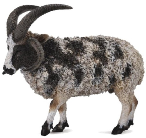CollectA Jacob Sheep - Manufacturer Picture