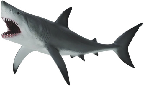 CollectA Great White Shark - Open Jaw - Manufacturer Picture