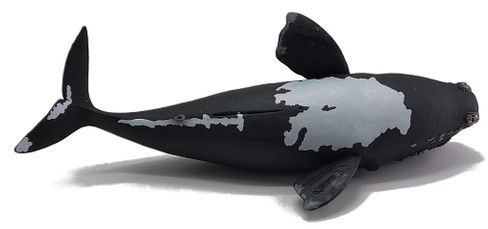 CollectA Right Whale - Bottom View