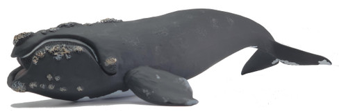 CollectA Right Whale - Manufacturer Picture