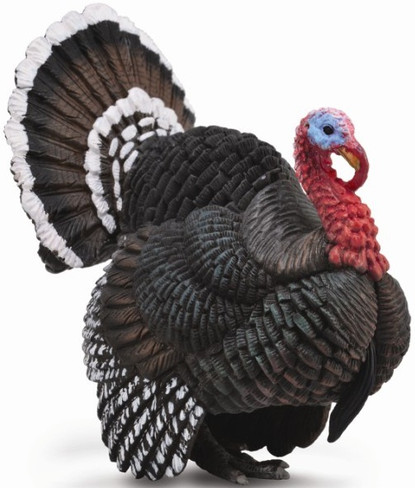 CollectA Bronze Turkey - Manufacturer Picture