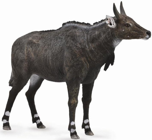 CollectA Nilgai Figure