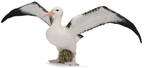 CollectA Wandering Albatross Figure