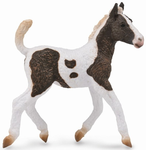 CollectA American Bashkir Curly Foal #88781 - Manufacturer Hero Image