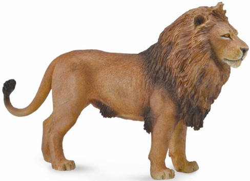 CollectA Africian Lion - Manufacturer Picture